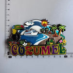 aimants réfrigérateur mexicains sombreros guitares cactus motifs floraux animaux exotiques souvenirs traditionnels multicolores