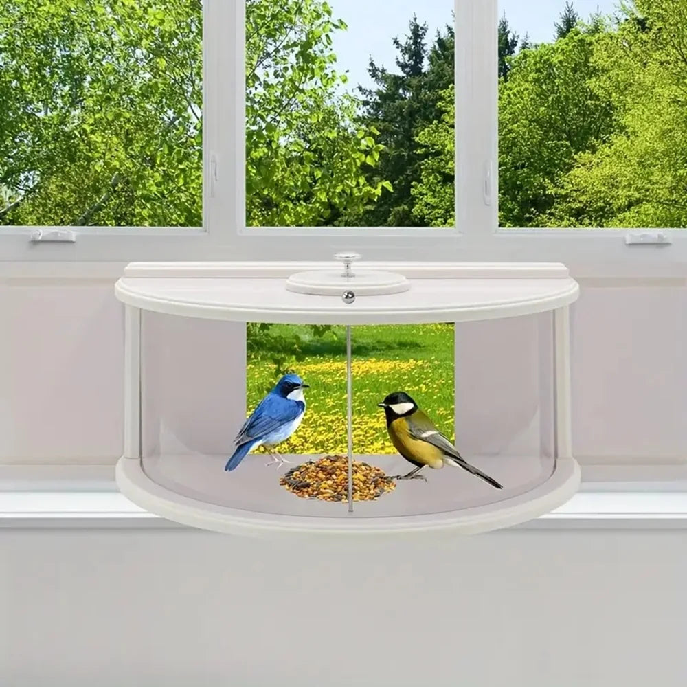 mangeoire oiseaux fenetre transparente moderne blanche arrondie merle bleu mésangesparrows junco colibri graines tournesol