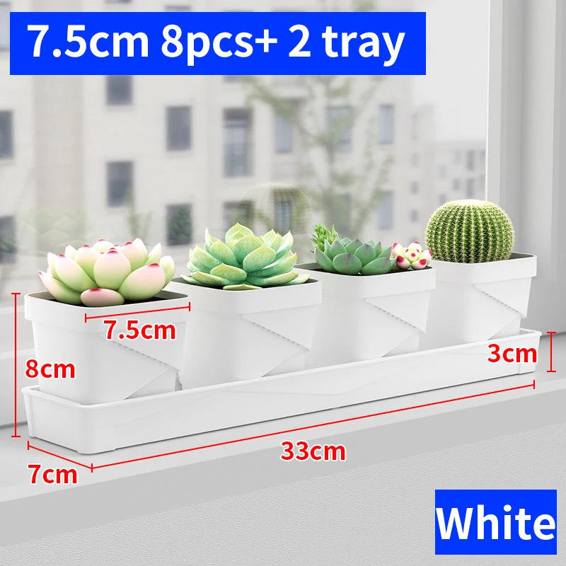 petit pot fleurs blanc plastique moderne cactus succulentes plateau intégré