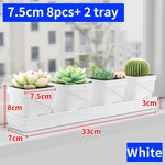 petit pot fleurs blanc plastique moderne cactus succulentes plateau intégré
