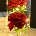 roses stabilisées bouquet guirlande lumineuse cloche verre décoration intérieure romantique anniversaire valentin engagement