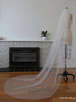 voile mariée blanc classique longue longueur cathédrale clips robe mariée