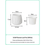 pots fleurs auto arrosants plantes vertes moderne geometrie feuilles ovales plastique blanc
