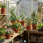 grille plantes hexagonale vert foncé moderne fixation jardin plastique