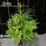 décoration extérieure arche verte feuillage dense naturelle rustique événements anniversaires fêtes mariage