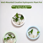 pots plante hydroponique mural noir blanc rose bleu moderne minimaliste fixation murale