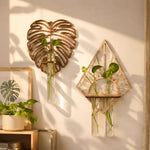 vase mural bois feuille transparent suspendu plante moderne nature inspiration