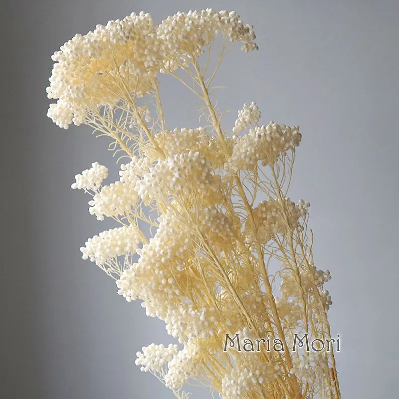 bouquet fleurs séchées naturelles rustique décoration maison mariage anniversaire petit volume décoratif