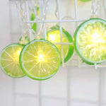 guirlande lumineuse citron orange leds rondelles fruits decoration noel vacances festive tropicale