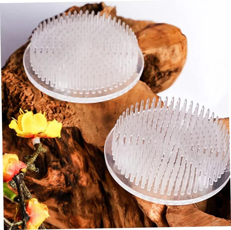 Support fleurs transparent moderne piquets rangés stockage imperméable plastique multiple usage