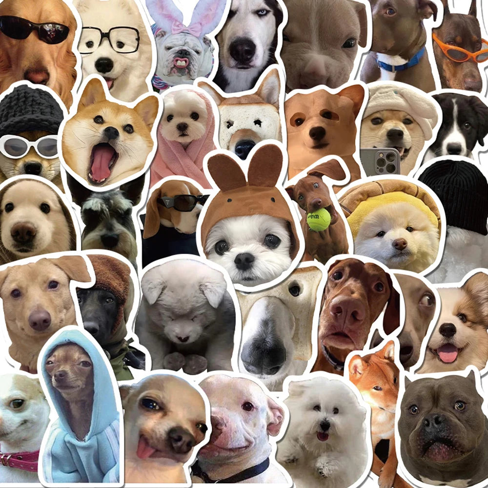 sticker chien expression faciale divers couleurs adhésif decoratif humour kawaii telephone waterbottle decoration 10pcs