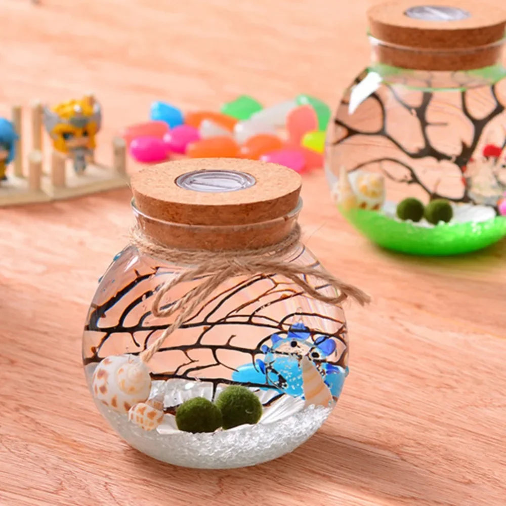bocal verre transparent coquillages branches bouleaux figurine led colorée nocturne deco naturelle