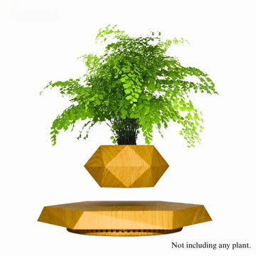 pot plante flottant levitation magnétique rotatif moderne décoration intérieur minimaliste noir