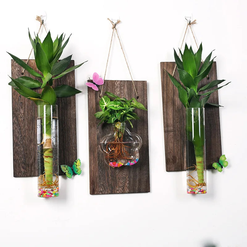 vases murals transparents bois marron plantes vertes deco bohème minimaliste suspension chambre salon
