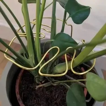 support plante or moderne adhésif facile géométrique simpleDecorationPlantes vàng adhesive easy geometric simple