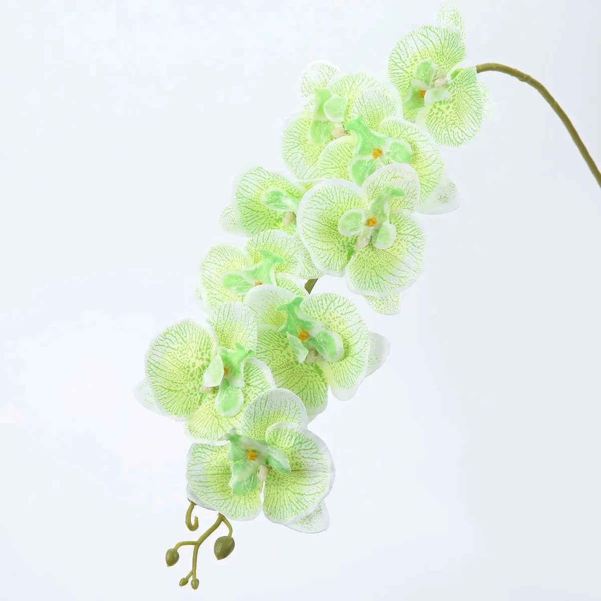 Orchidées artificielles blanc fleurissantes modernes décoration intérieure élégante vase doré maison mariage