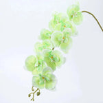 Orchidées artificielles blanc fleurissantes modernes décoration intérieure élégante vase doré maison mariage