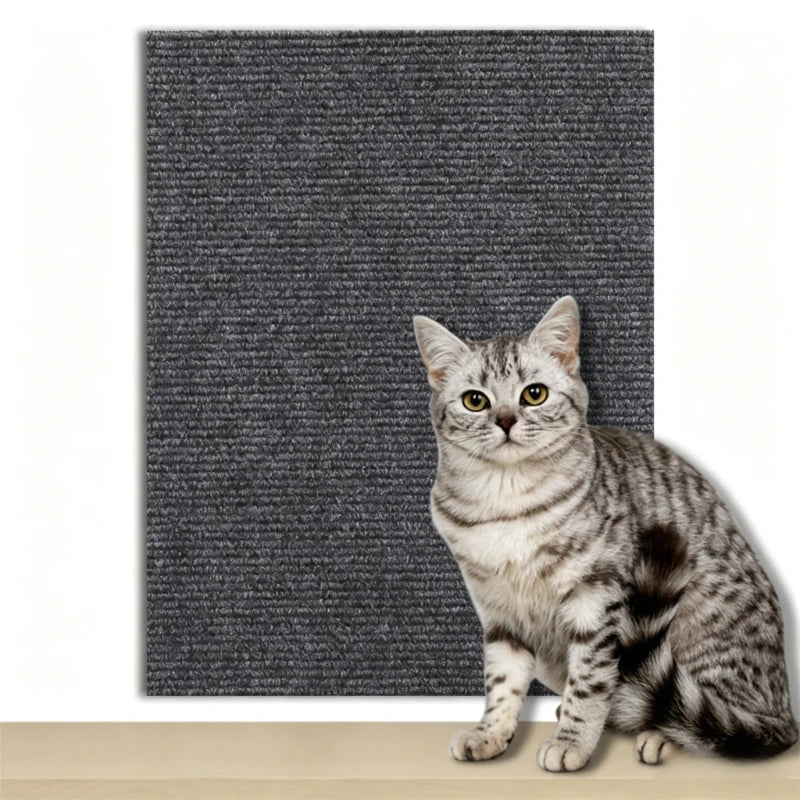 tapis anti griffure feutre adhésif chat gris moderne protection meublescrição automatique: phrase ne correspond