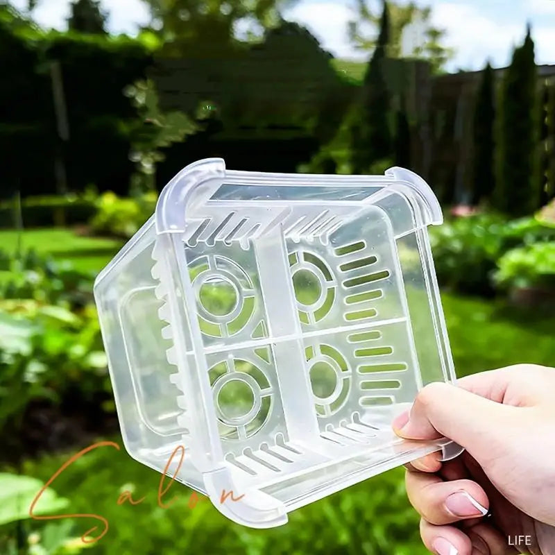 pot hydroponique transparent moderne tulipes sans terre ventilation grille plastique