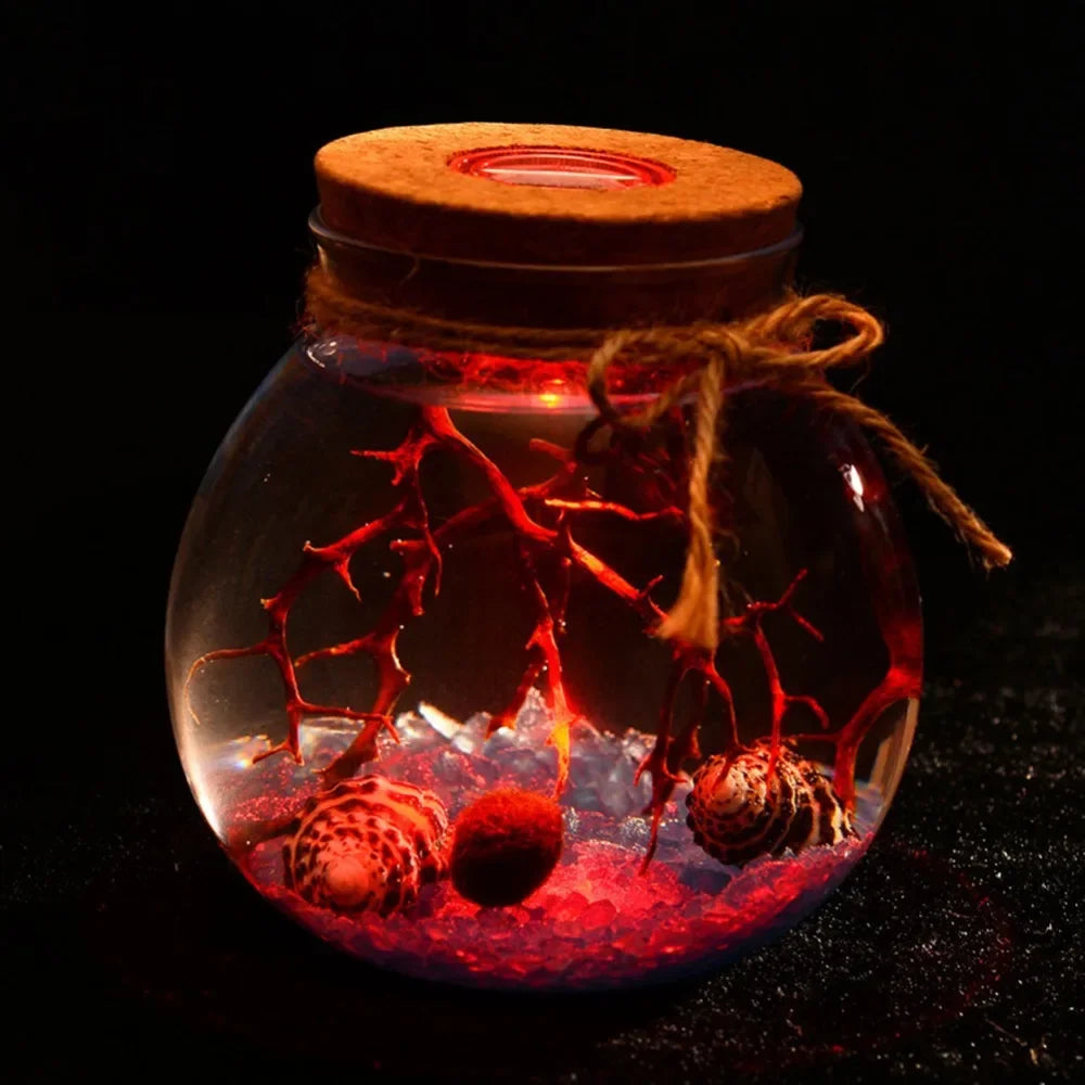 bocal verre transparent coquillages branches bouleaux figurine led colorée nocturne deco naturelle
