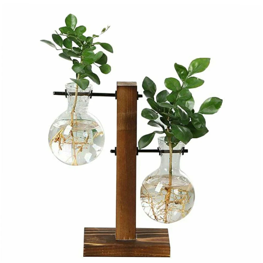 vase hydroponique vintage verre transparent plante table décoration bonsaï rond simple