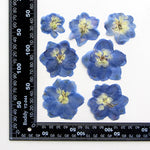 fleurs séchées bleu blanc jaune naturelles petals décor intérieur anniversaire cadeau art artisanal