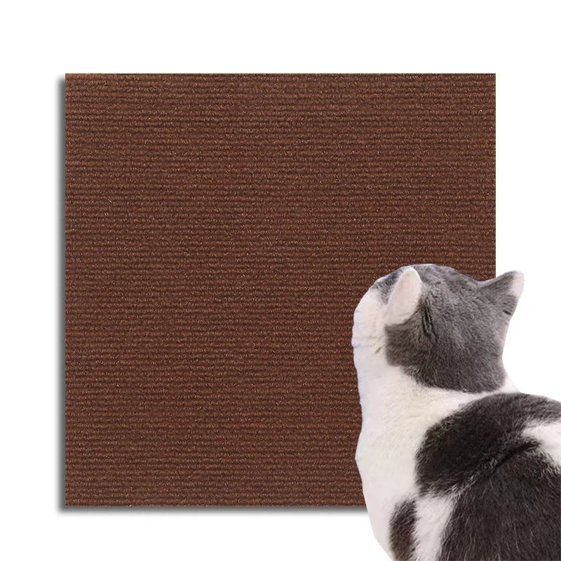 sticker adhésif anti griffure protection canapé moderne tissu motifs chats couleur beige noir gris