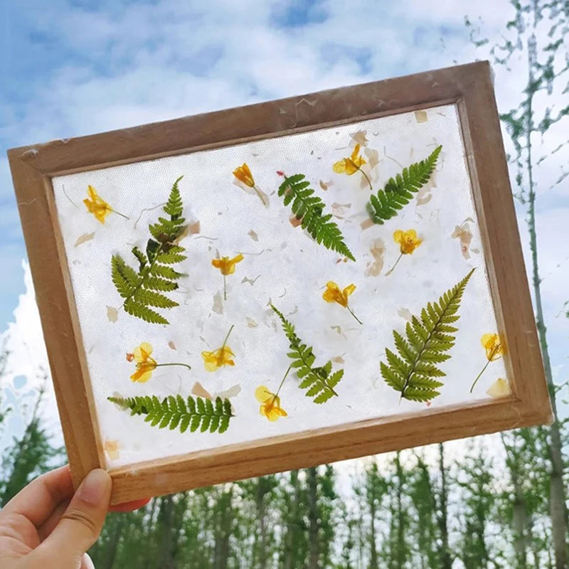 cadre bois naturel clair classique rustique transparent fleurs séchées décoratif fixé