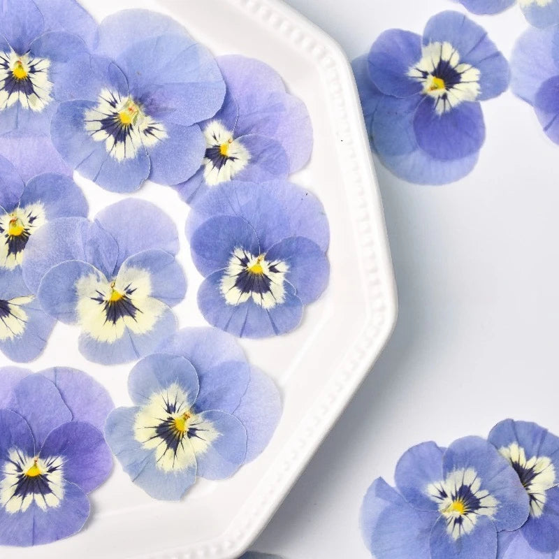 fleurs séchées violettes naturelles simples décoration maison anniversaire baby shower