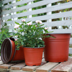 pots fleurs plastique rouge noir modernes grille drainage 9cm 10cm 11cm 12cm 13cm 14cm