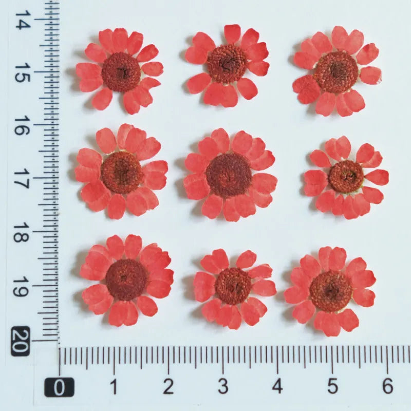 fleurs séchées multicolores bijoux résine décoration ongles maison intérieure artisanal anniversaire naturelles