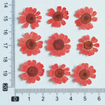 fleurs séchées multicolores bijoux résine décoration ongles maison intérieure artisanal anniversaire naturelles