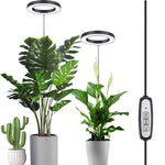 lampe led plante noire blanche réglable hauteur bouton variateur moderne minimaliste piquet câble usb
