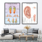 Le texte alternatif pourrait être : "Affiches représentant les zones de réflexologie plantaire et les points d'acupuncture auriculaire, montées au mur d'un salon moderne avec un canapé gris et une table basse en or.