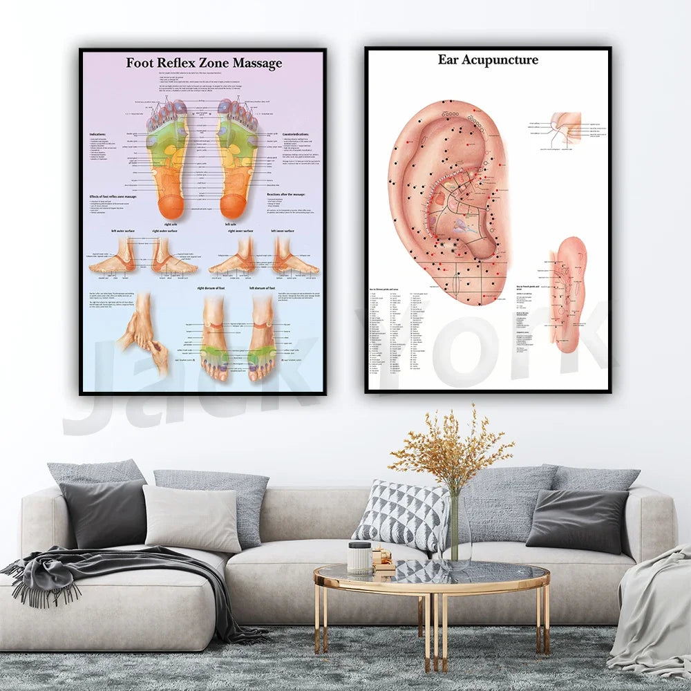 Le texte alternatif pourrait être : "Affiches représentant les zones de réflexologie plantaire et les points d'acupuncture auriculaire, montées au mur d'un salon moderne avec un canapé gris et une table basse en or.