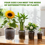 pots fleurs transparents modernes drainage holes ensemble plantes herbes cactus