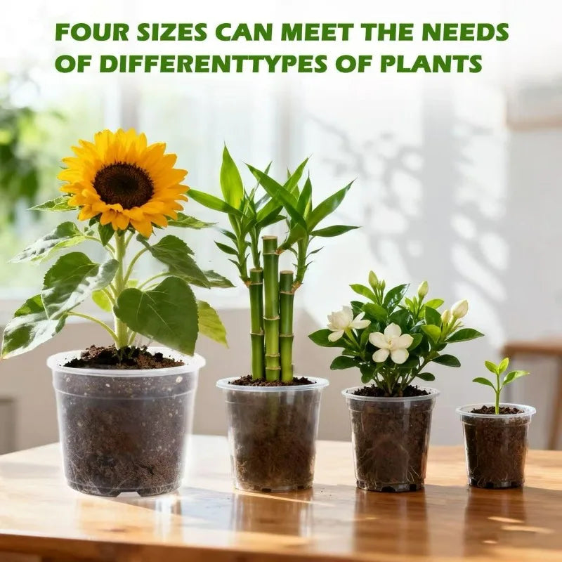 pots fleurs transparents modernes drainage holes ensemble plantes herbes cactus