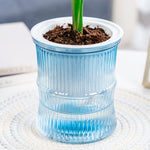 pot plantes moderne bleu vert rose rayures horizontales autoarrosant plante