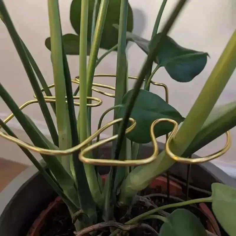 support plante or moderne adhésif facile géométrique simpleDecorationPlantes vàng adhesive easy geometric simple