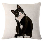 housse coussin carrée imprimé chats noir blanc moderne décoration intérieure