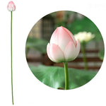 fleur artificielle lotus tige longue décoration intérieure vert rose blanc naturel détaillé Pods Feuilles
