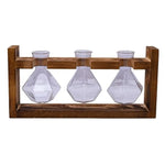 vases transparents modernes verre rond geometrique decoration plante verte