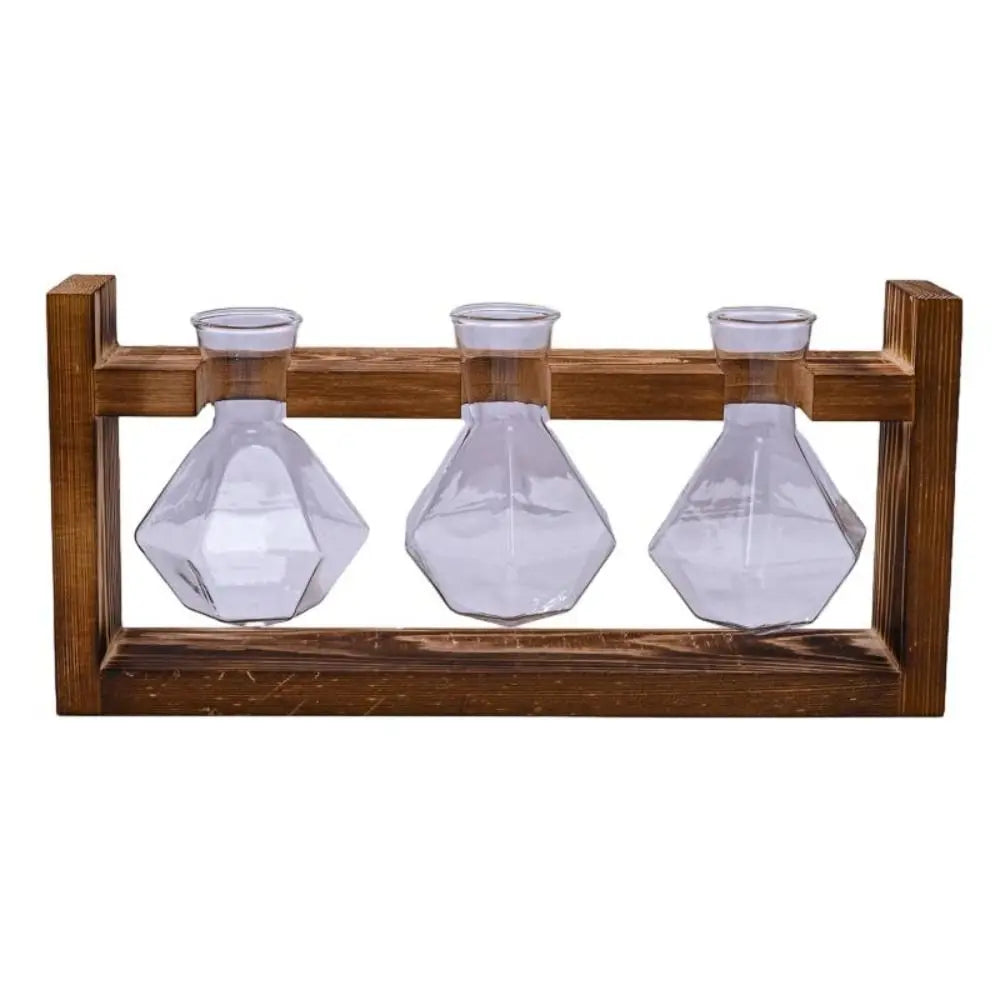 vases transparents modernes verre rond geometrique decoration plante verte