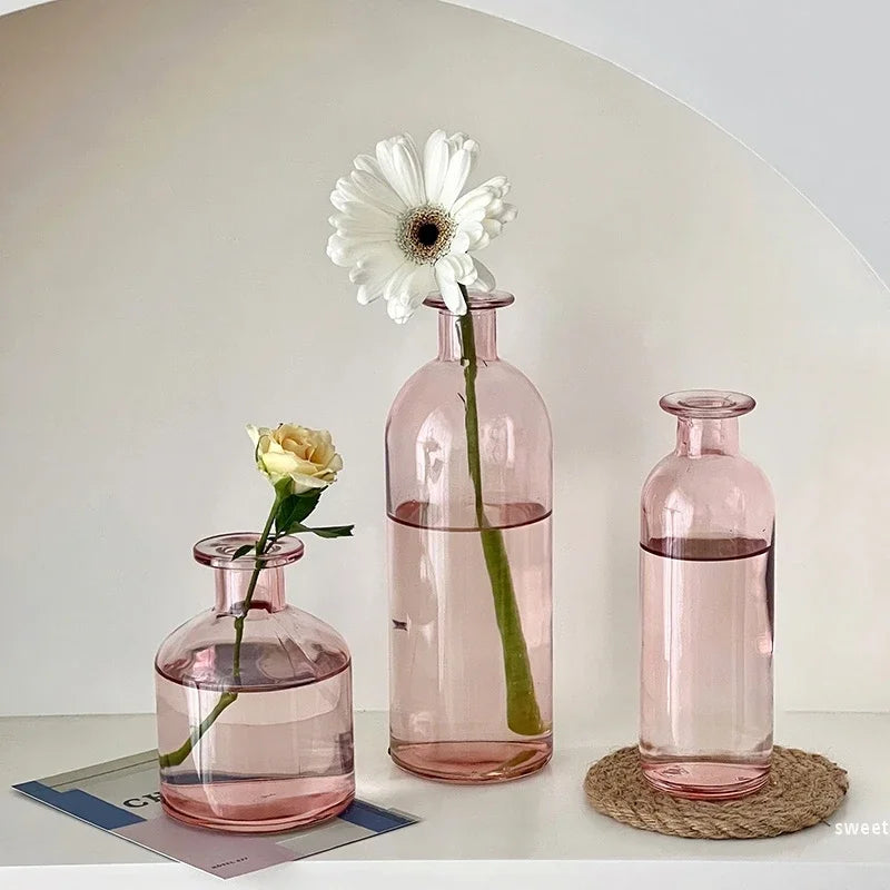 vase verre transparent moderne rose décoration intérieur hydroponique fleuri table studio