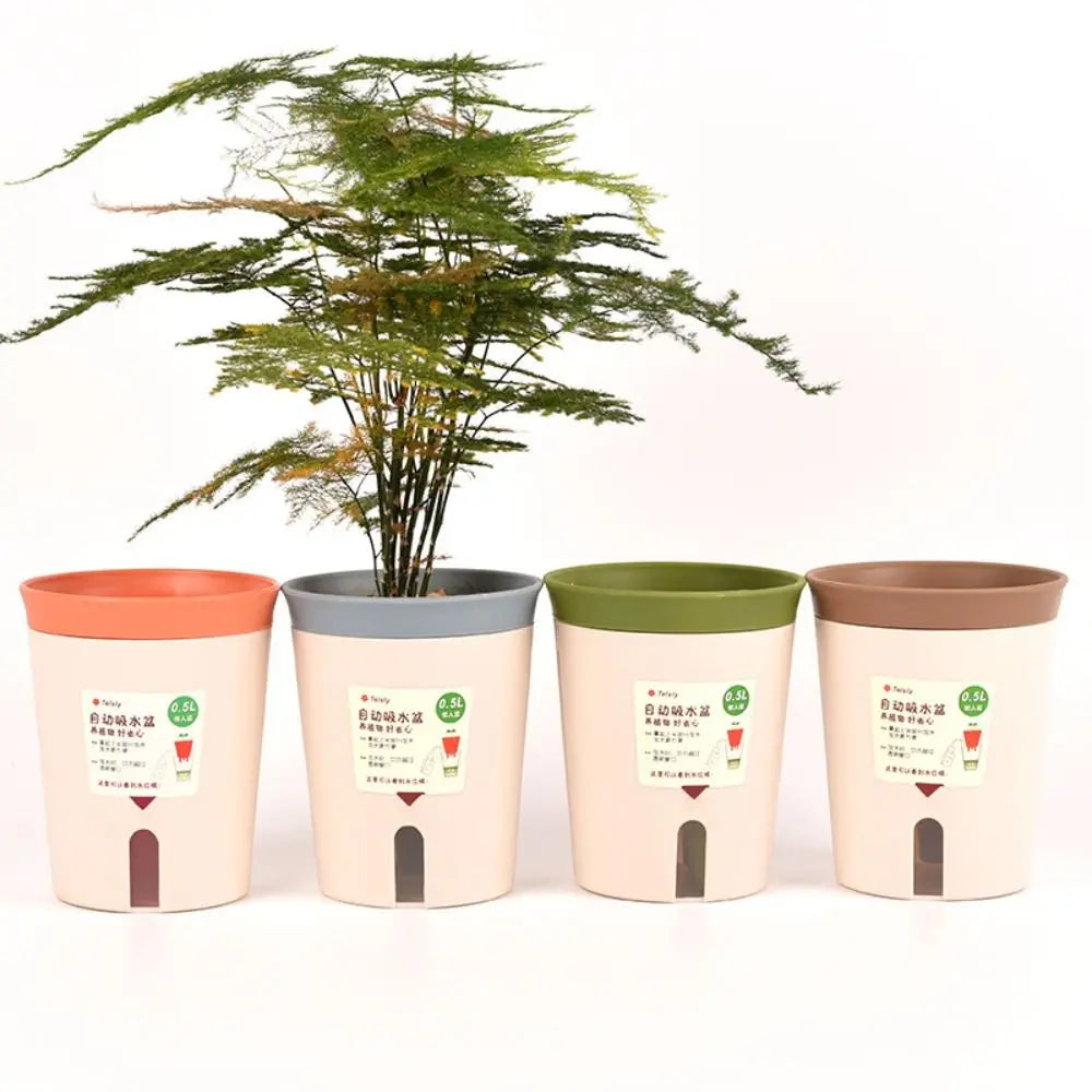 pots plante plastique moderne beige orange gris vert adhésif taille salon