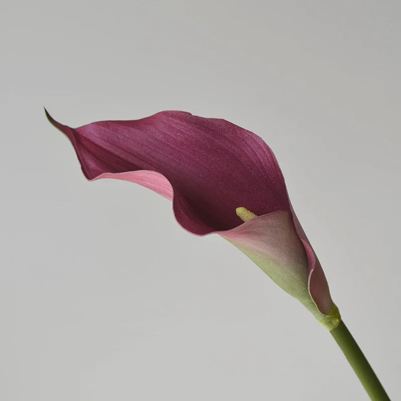 fleurs artificielles calla lily blanc rose orange vases transparents mariage anniversaireintérieurDecorationMinimaliste