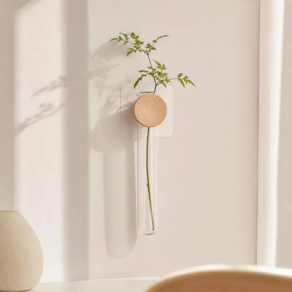 vase mural transparent minimaliste bois plante verte femmes