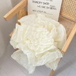 papier soie blanc rose vert jaune rouge uni opaque simple mariage anniversaire cadeau fête