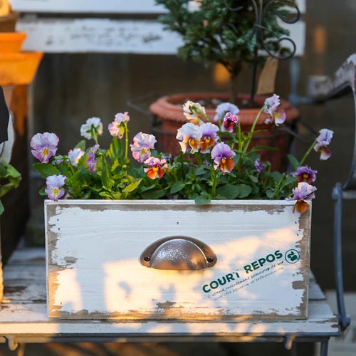 boîte tiroirs bois vieilli blanc compartiments doubles plantes vintage rustiqueintérieur/extérieur poignée métal