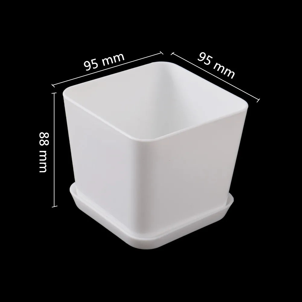 pot fleurs blanc moderne plateau succulentes bonsaï plastique